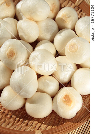 もちふ もちふ 16771104