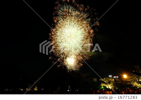 天神祭り奉納花火 天神祭り奉納花火 16771283