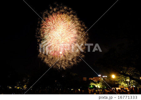 天神祭り奉納花火 天神祭り奉納花火 16771333