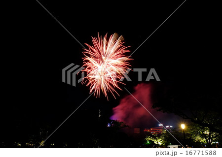 天神祭り奉納花火 16771588