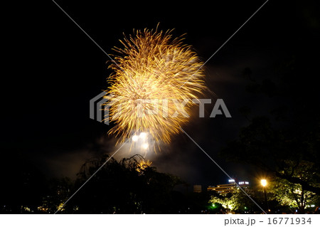 天神祭り奉納花火 天神祭り奉納花火 16771934