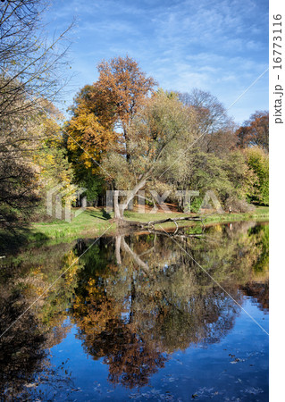 Skaryszewski Park in Warsaw Skaryszewski Park in Warsaw 16773116
