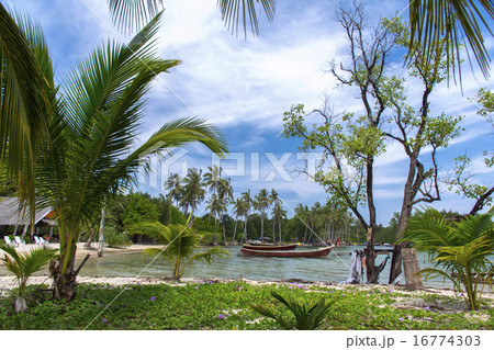 Koh Mook Coast Line. 16774303