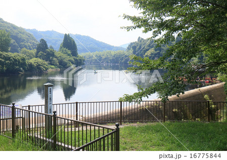 三島ダム・三島湖(君津市) 三島ダム・三島湖(君津市) 16775844