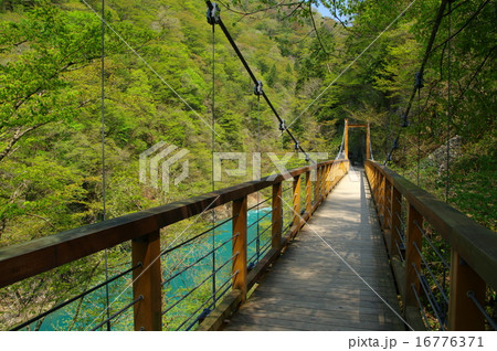 抱返り渓谷 誓願橋(秋田県仙北市) 抱返り渓谷 誓願橋(秋田県仙北市) 16776371