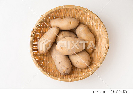 じゃがいも 16776859