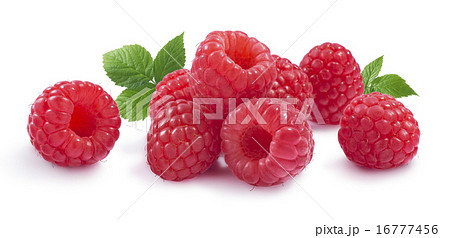 Raspberry leaves horizontal composition isolated 16777456