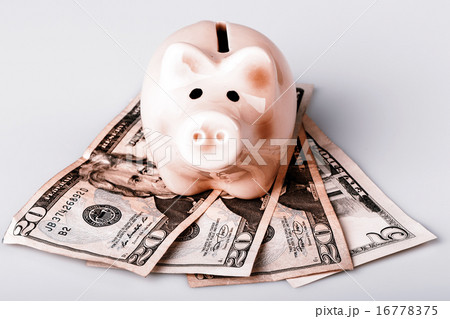 pig bank on dollar banknotes pig bank on dollar banknotes 16778375