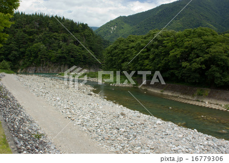 庄川 16779306