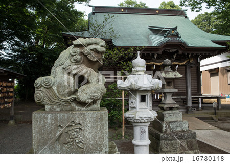有鹿神社 有鹿神社 16780148