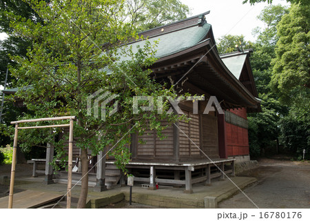 有鹿神社 有鹿神社 16780176