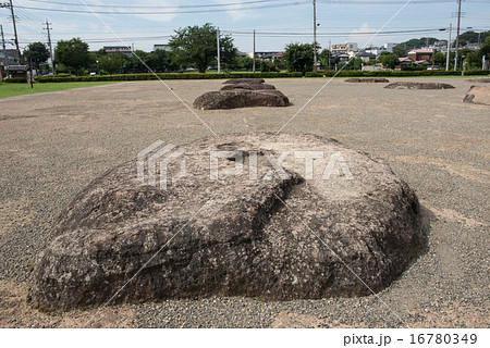 相模国分寺跡 16780349
