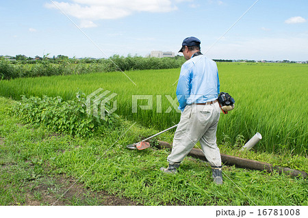 水田の畦道の草刈りをする農夫３ 16781008