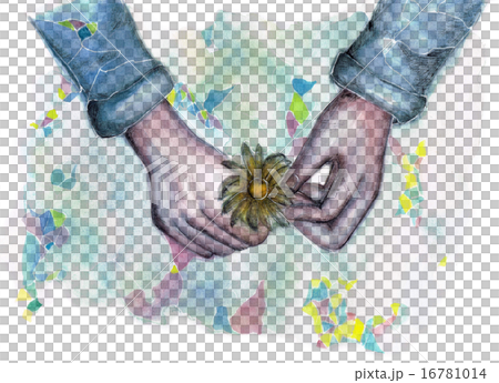 一朵花。 16781014