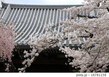 法金剛院 法金剛院 16781156