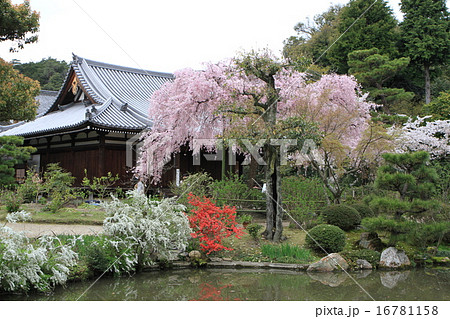法金剛院 法金剛院 16781158