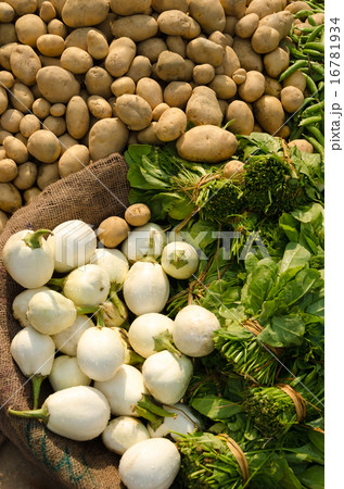 インド　ヴァーラーナスィーの市場の野菜 16781934