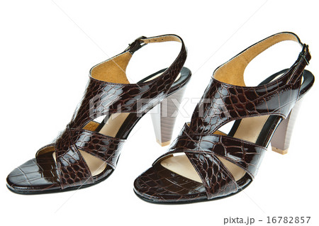 Women's shoes isolated on white background Women's shoes isolated on white background 16782857