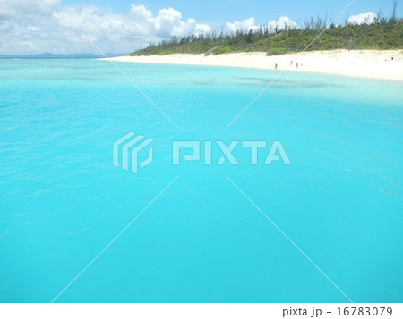 水納ビーチ 16783079