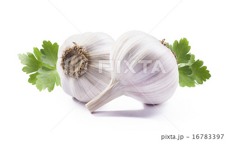 Double garlic with parsley isolated on white  16783397
