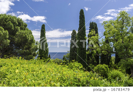 Livadia Palace park. Yalta, Crimea, Russia. Livadia Palace park. Yalta, Crimea, Russia. 16783479