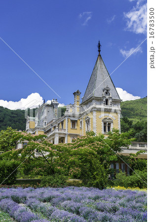 Massandra Palace, Massandra, Yalta, Crimea, Gurzuf, Russian, Gothic castle and a field of lavender. Massandra Palace, Massandra, Yalta, Crimea, Gurzuf, Russian, Gothic castle and a field of lavender. 16783500