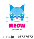 Meow - supercat - vector concept illustration.  16787672