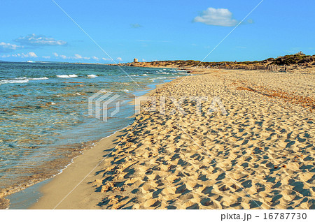 Es Cavallet beach, in Ibiza Island, Spain 16787730