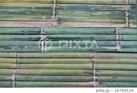 Bamboo background 16788520