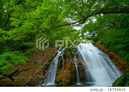 名水の滝 名水の滝 16788626