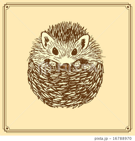 Sketch cute hedgehog in vintage style Sketch cute hedgehog in vintage style 16788970
