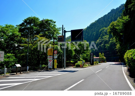 奥多摩周遊道路 (63) 16789088