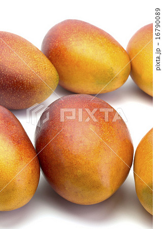 くだもの　アップルマンゴー 16790089