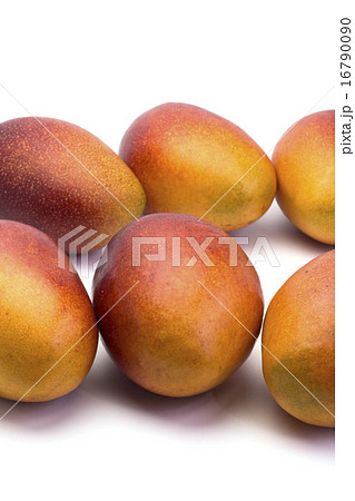 くだもの　アップルマンゴー 16790090