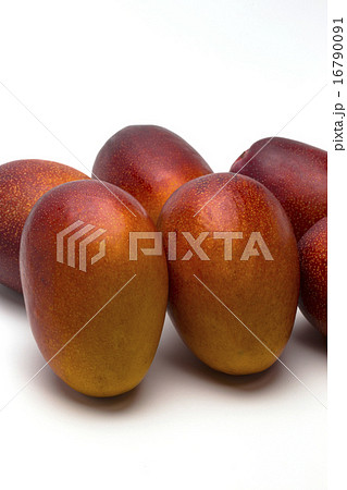 くだもの　アップルマンゴー 16790091