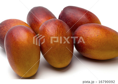 くだもの　アップルマンゴー 16790092