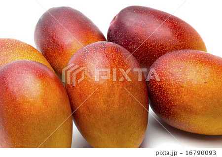 くだもの　アップルマンゴー 16790093