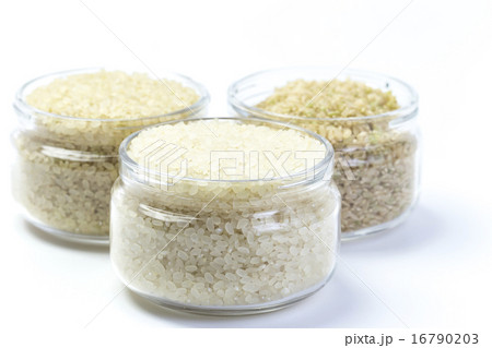 食材　米　玄米・胚芽米・白米 16790203
