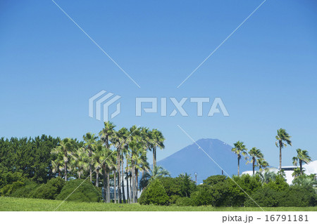 夏の富士山と湘南 16791181