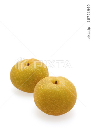 梨　彩玉 16791940