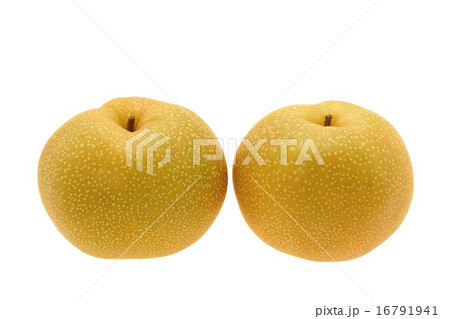 梨　彩玉 16791941