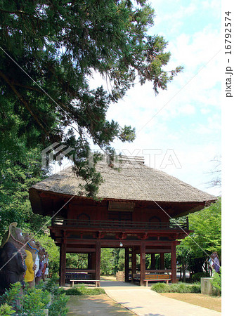 茂林寺 茂林寺 16792574