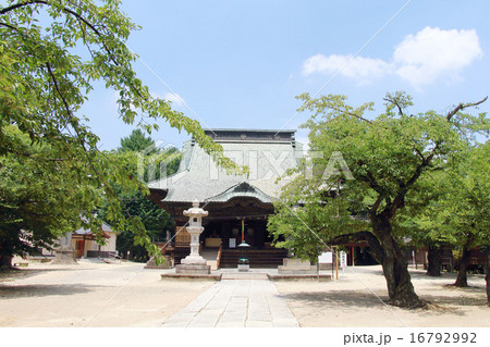 總願寺 總願寺 16792992