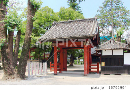 總願寺 16792994