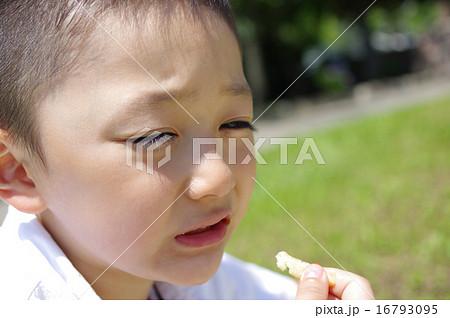 食べ物の好き嫌い 16793095