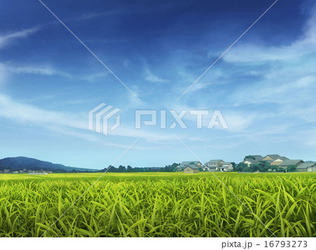 田園風景 16793273