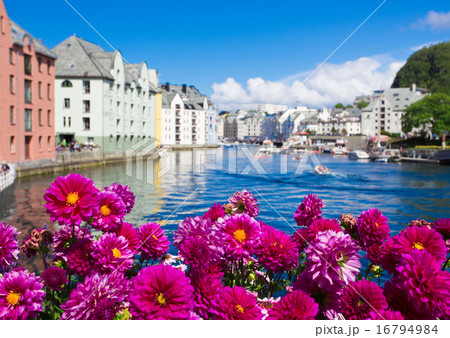 flowers of Alesund flowers of Alesund 16794984