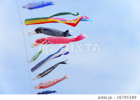 鯉のぼり 16795389