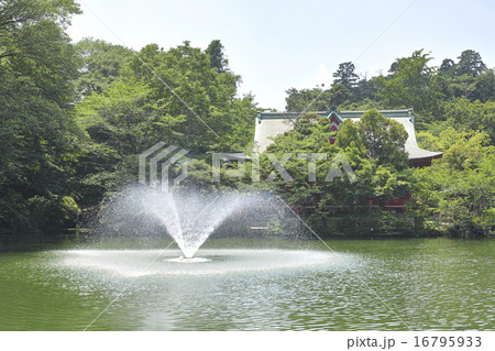 井の頭池と井の頭弁財天 16795933