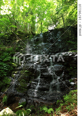 横行渓谷の三ツ滝 16796110